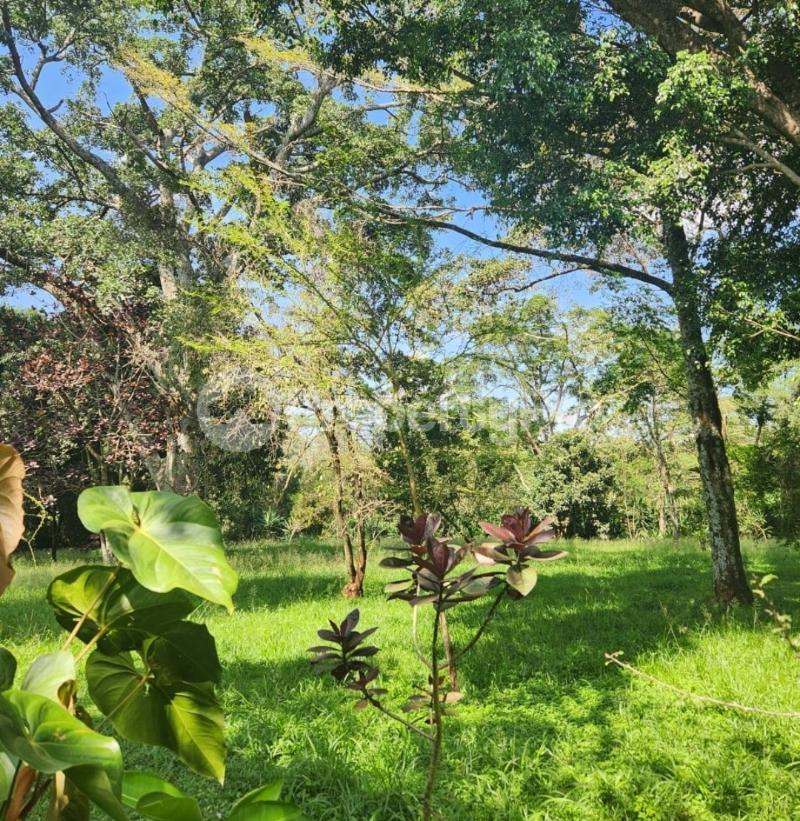 Land for sale Karen Nairobi - 0