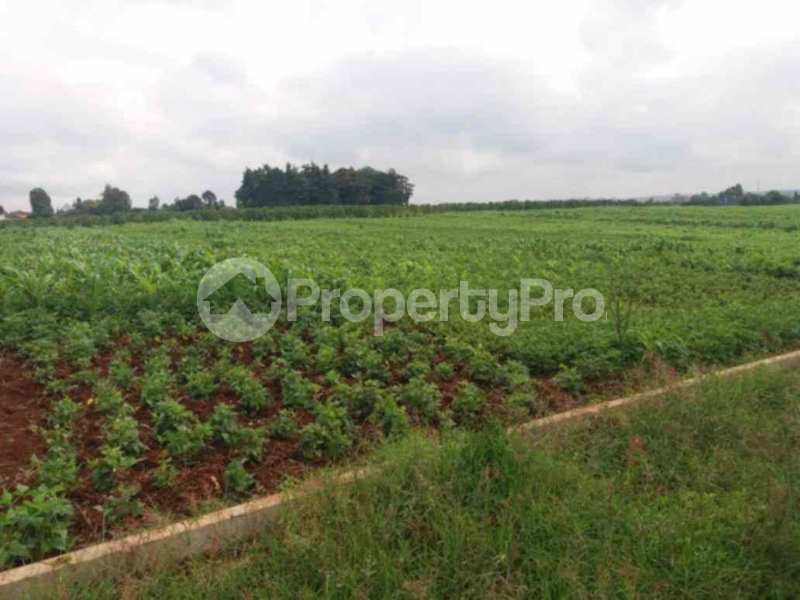 Land for sale Kiambu Kiambu
