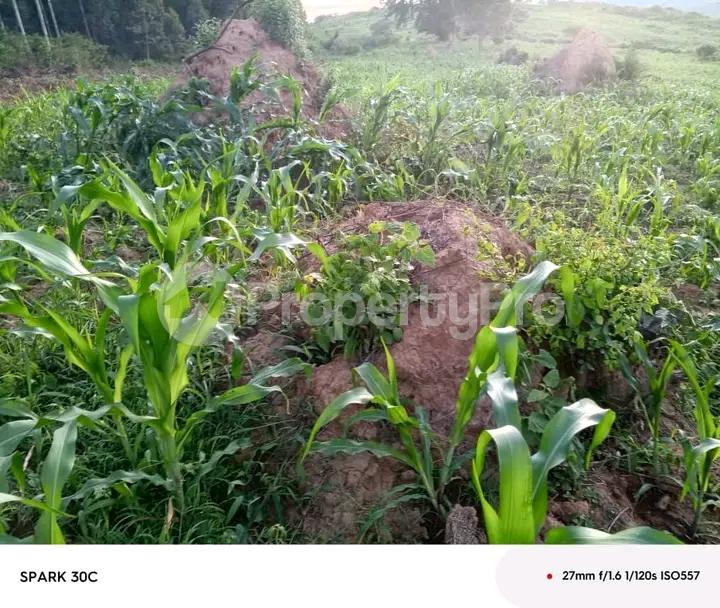 Land for sale Namuyumba hoima Wakiso Central - 2