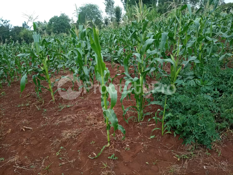 Land for sale Kiambu Kiambu