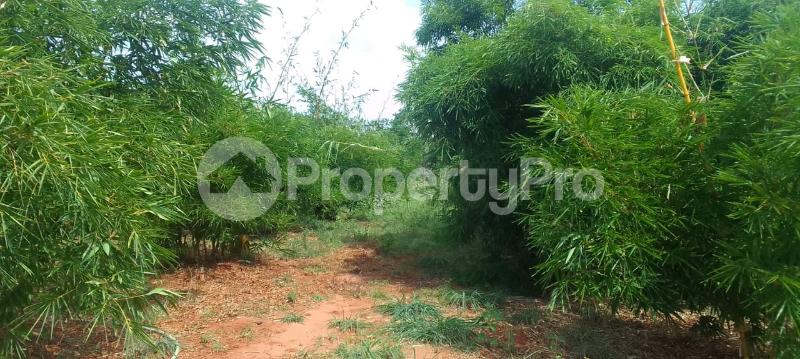 Land for sale Malindi Kilifi
