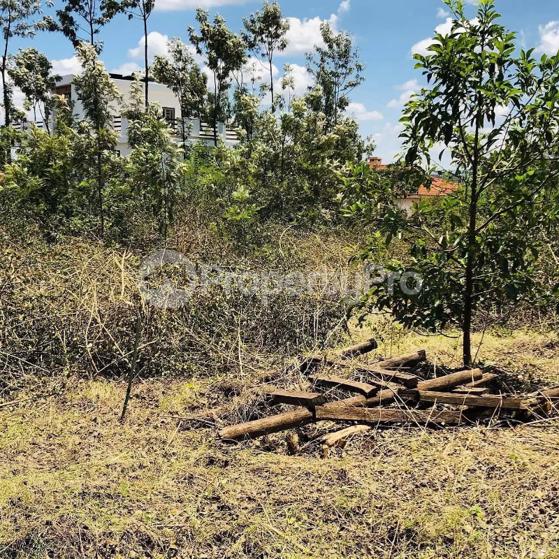 Land for sale Ruiru Kiambu
