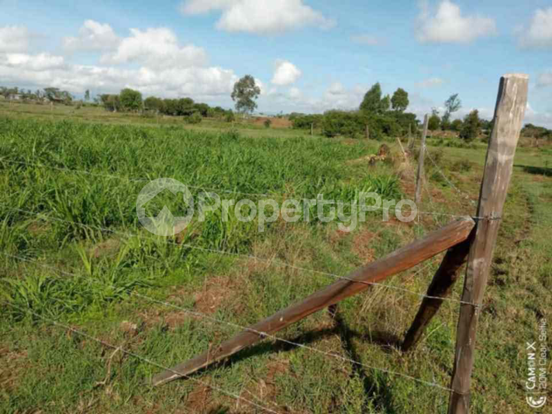 Land for sale Nanyuki Nanyuki