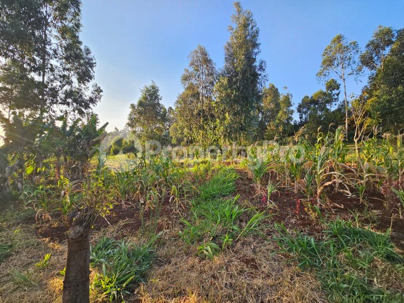 Land for sale Kikuyu Kiambu