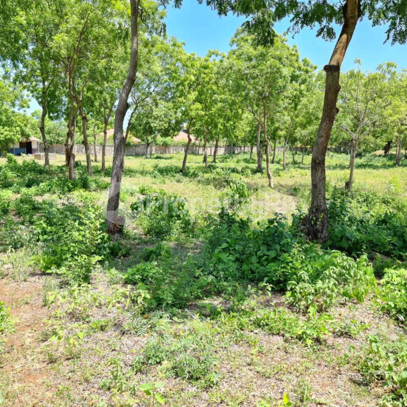 Land for sale Diani Mombasa
