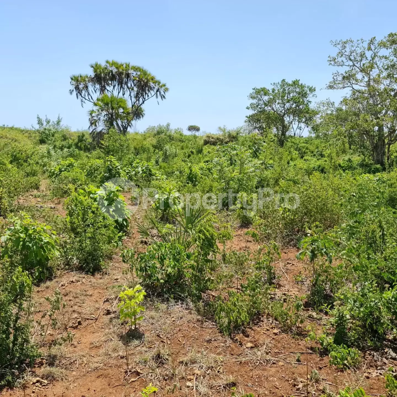 Land for sale Diani Mombasa