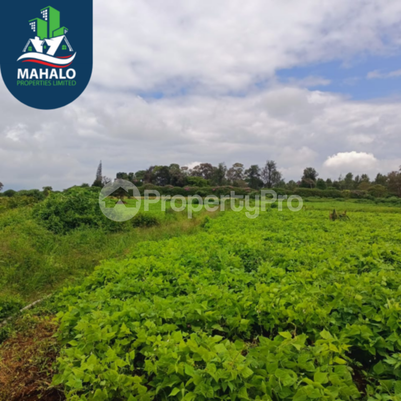 Land for sale Thika Kiambu