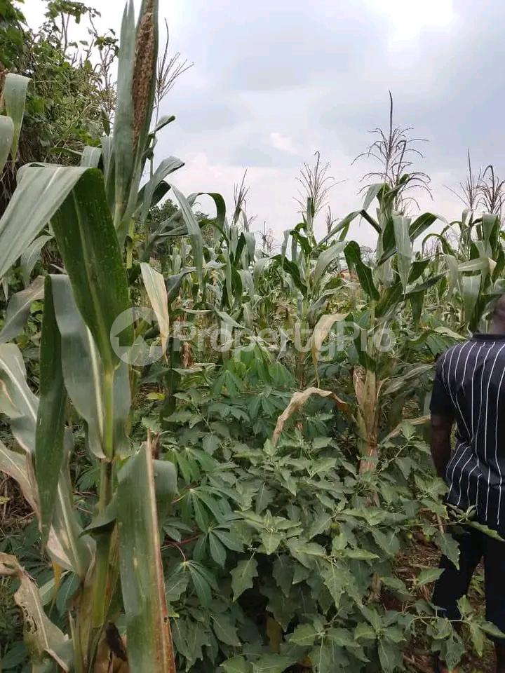 Commercial Property for sale Kayunga road  Mukono Central - 2