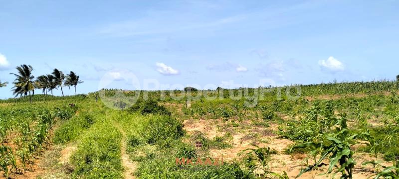 Land for sale Kilifi North Kilifi