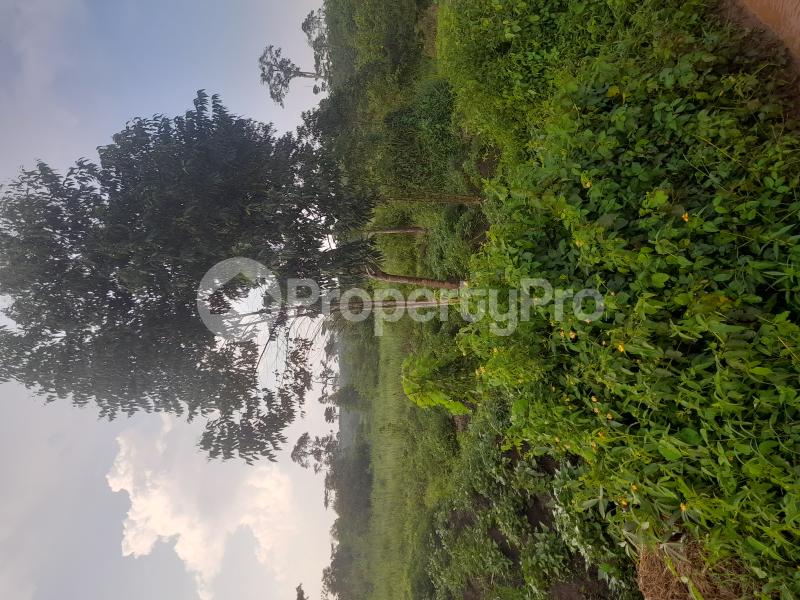 Land for sale Nkokonjeru  Buikwe Central - 1