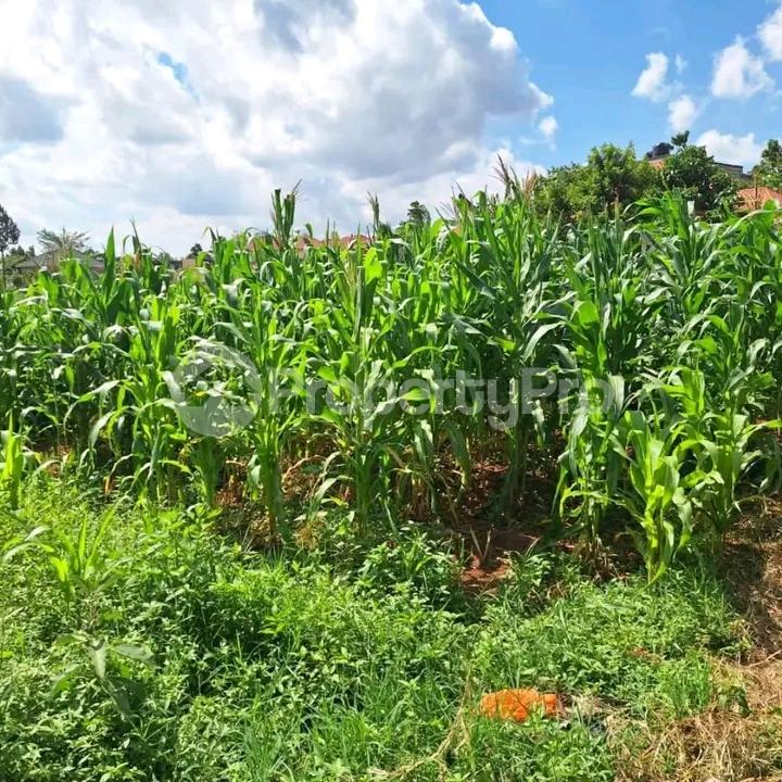 Land for sale Mukono kayunga road  Kampala Central Kampala Central - 2
