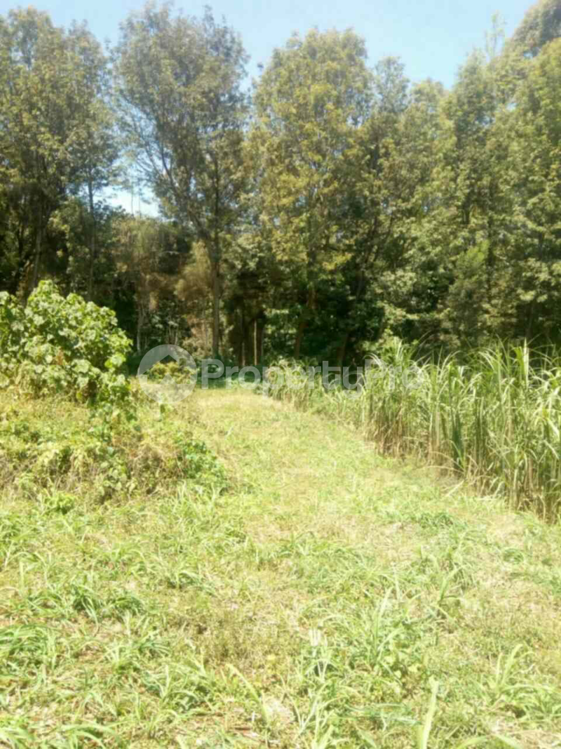 Land for sale Kikuyu Kiambu