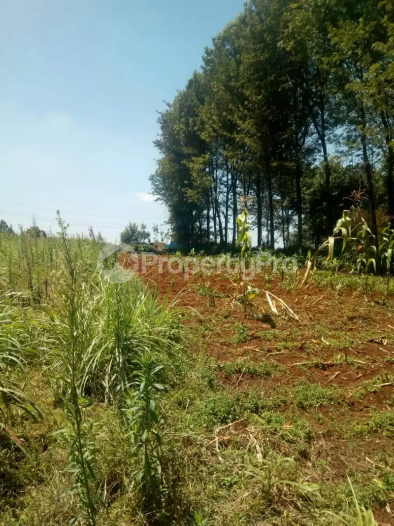 Land for sale Kikuyu Kiambu