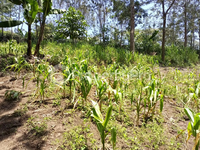 Land for sale Ngong Kajiado