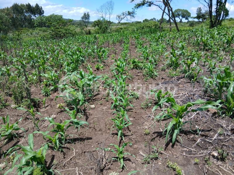 Land for sale Karen Nairobi