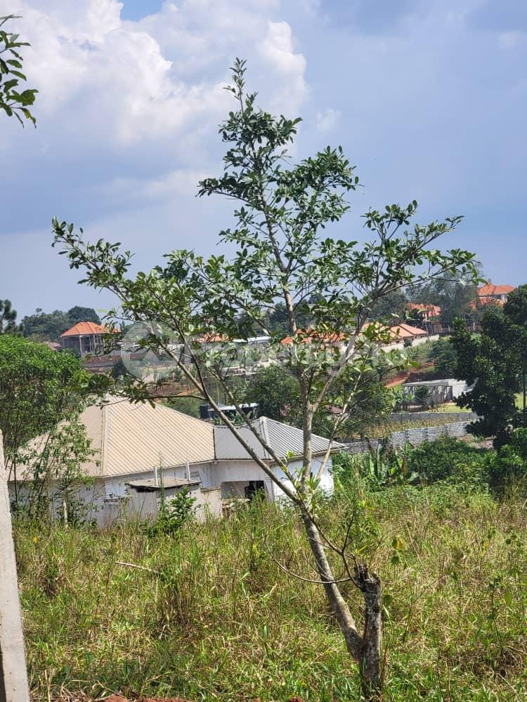 Land for sale Kitukutwe  Kira Wakiso Central - 1