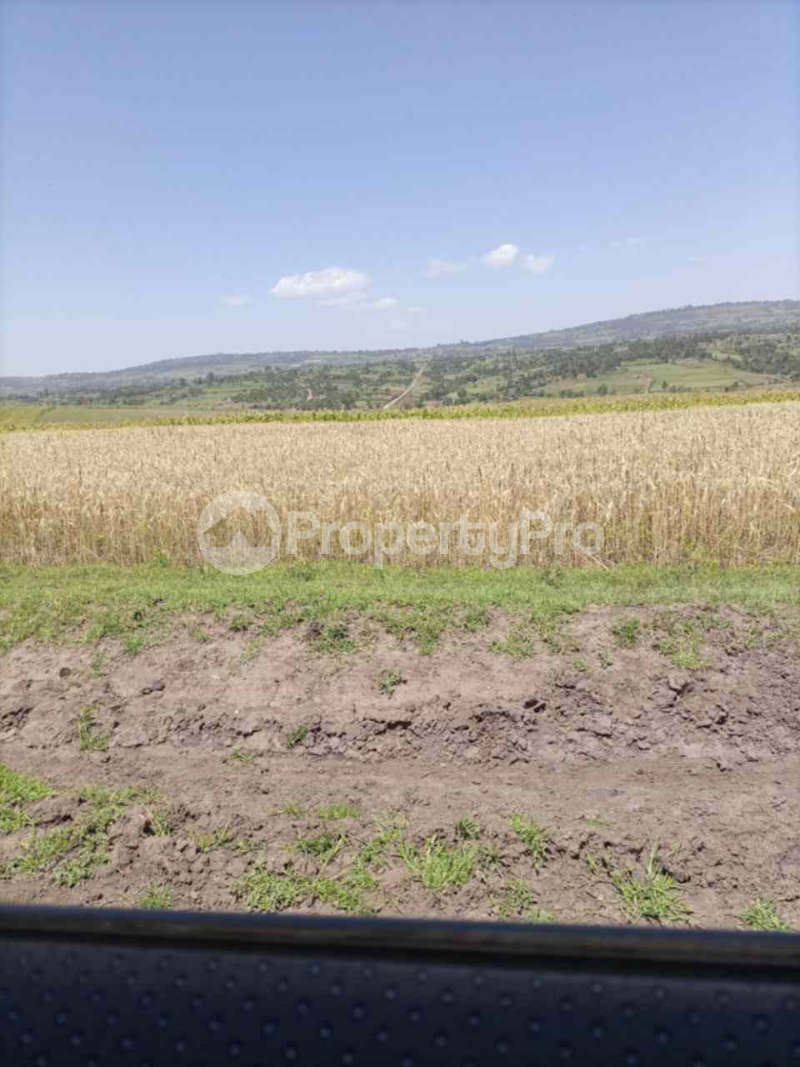 Land for sale Narok Narok