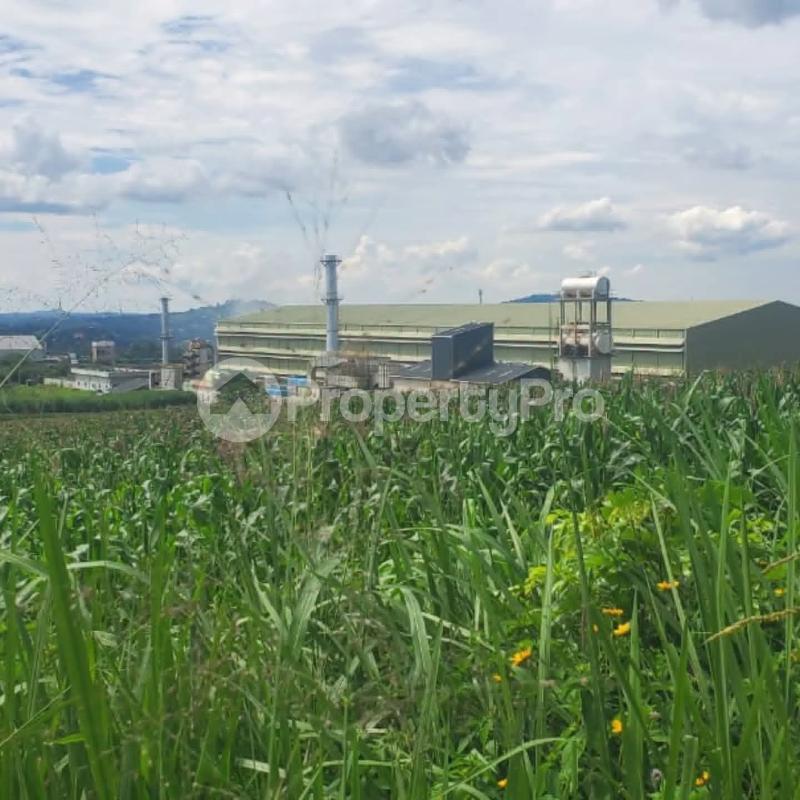 Land for sale Njeru near modern tiles factory  Buikwe Central - 0