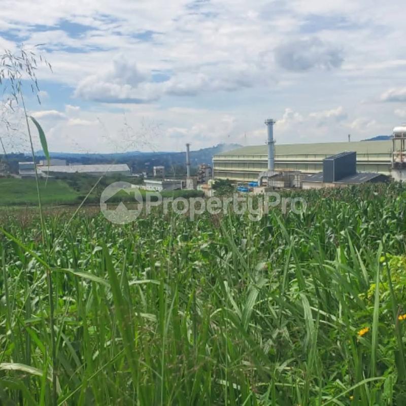 Land for sale Njeru near modern tiles factory  Buikwe Central - 2