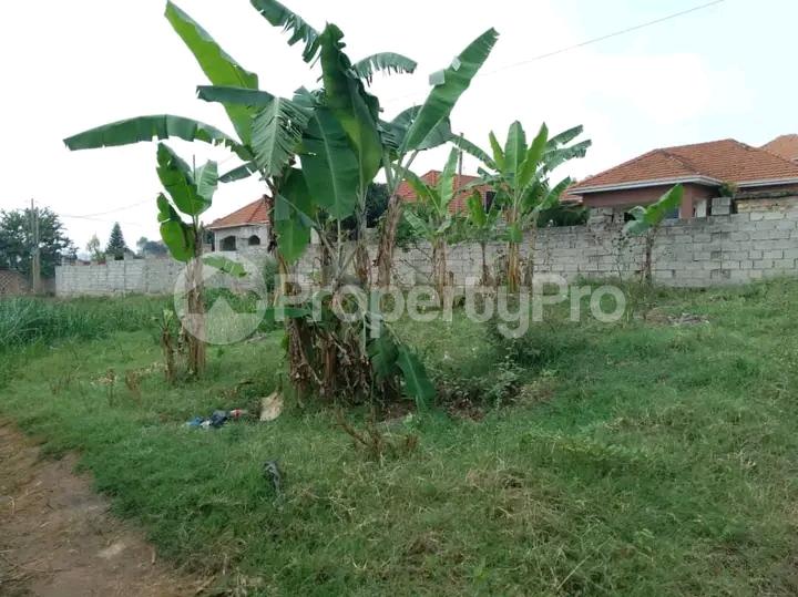 Land for sale Kira road  Kira Wakiso Central - 4