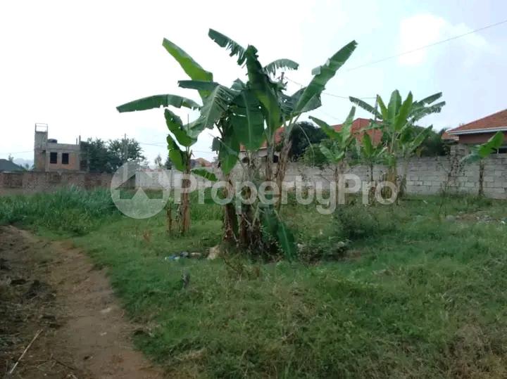 Land for sale Kira road  Kira Wakiso Central - 3