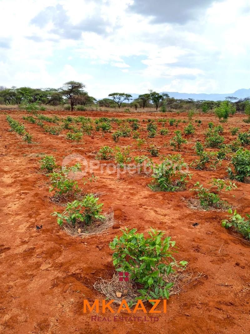 Land for sale Taveta Taita-Taveta