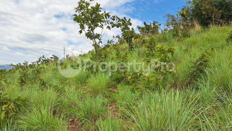 Land for sale Kyenjojo butudunzi Kyenjojo Western - 3