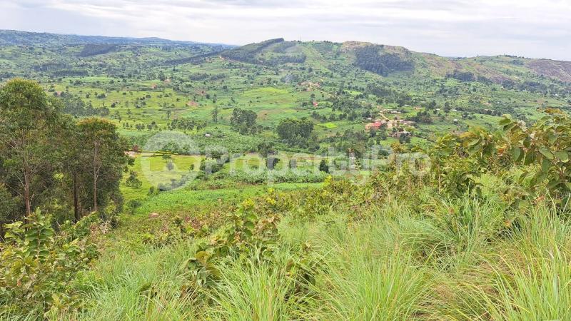 Land for sale Kyenjojo butudunzi Kyenjojo Western - 0