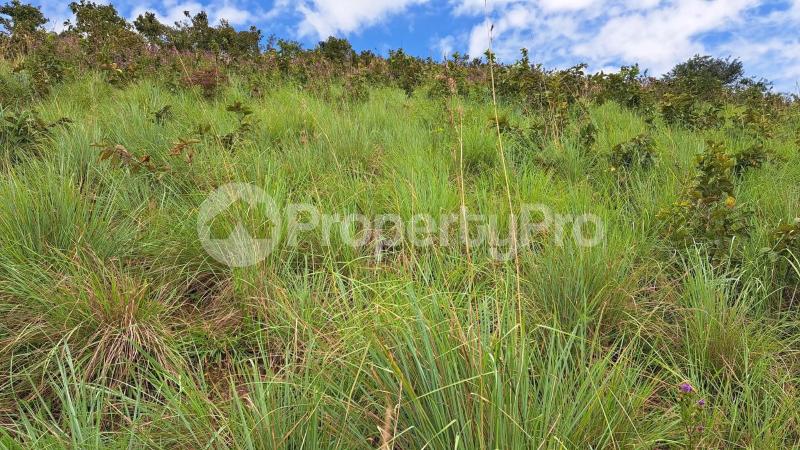 Land for sale Kyenjojo butudunzi Kyenjojo Western - 1