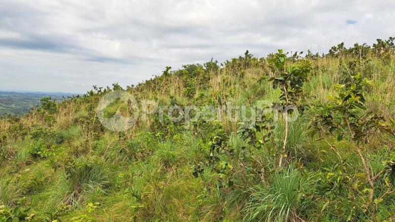 Land for sale Kyenjojo butudunzi Kyenjojo Western - 2