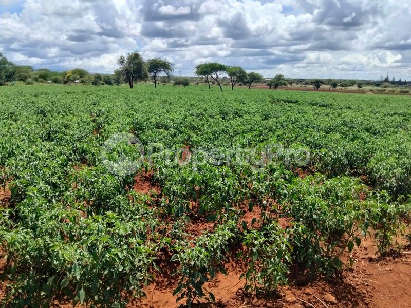 Land for sale Kimana Kajiado