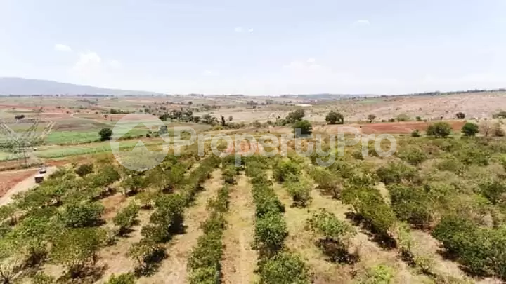 Land for sale Thika Kiambu