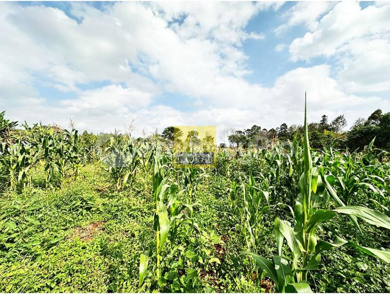 Land for sale Ruiru Kiambu - 0
