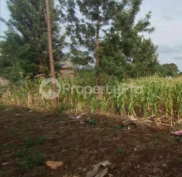 Land for sale Ruiru Kiambu