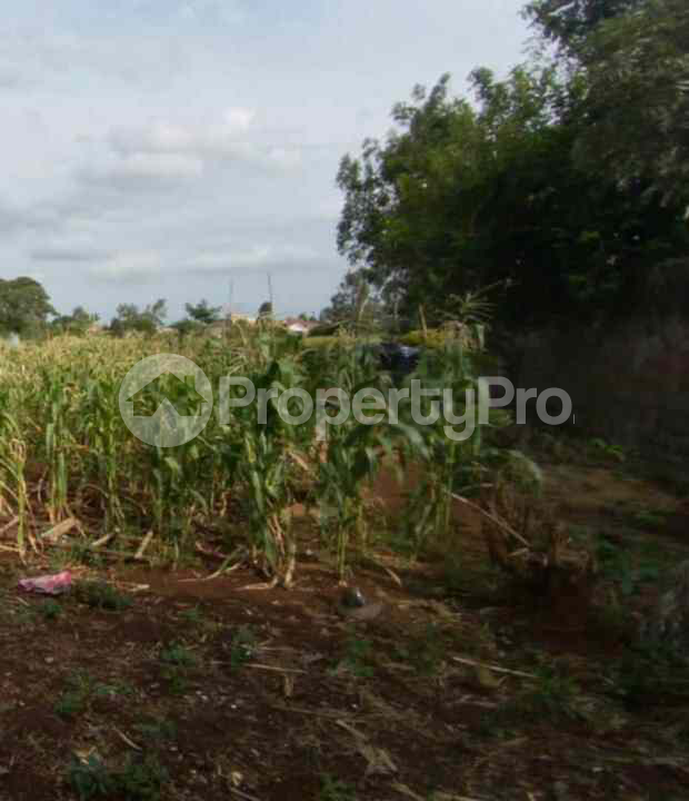 Land for sale Ruiru Kiambu