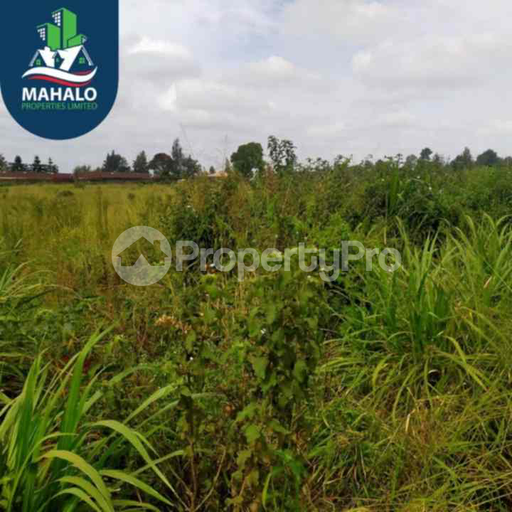 Land for sale Banana Hill Kiambu Kiambu