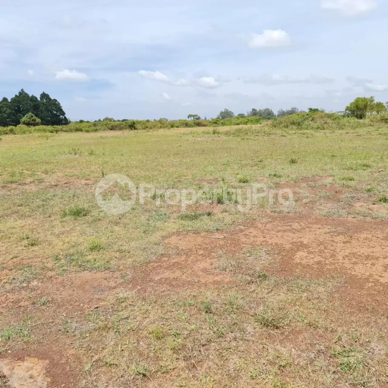 Land for sale Juja Kiambu