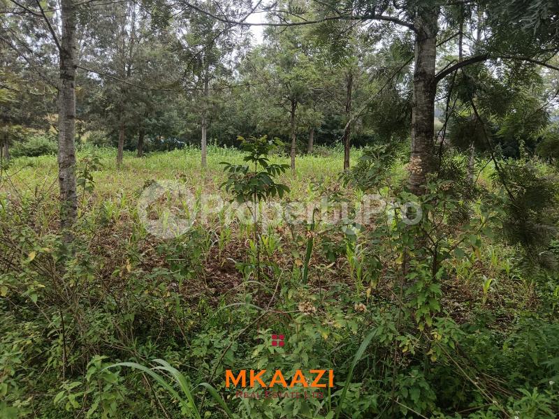 Land for sale Olkeri Kajiado