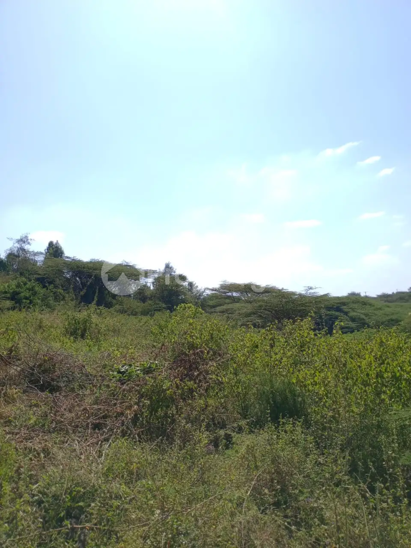 Land for sale Ongata Rongai Kajiado