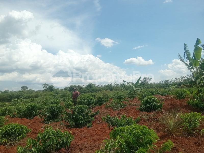 Land for sale Kalagala nakaseke Nakaseke Central - 0