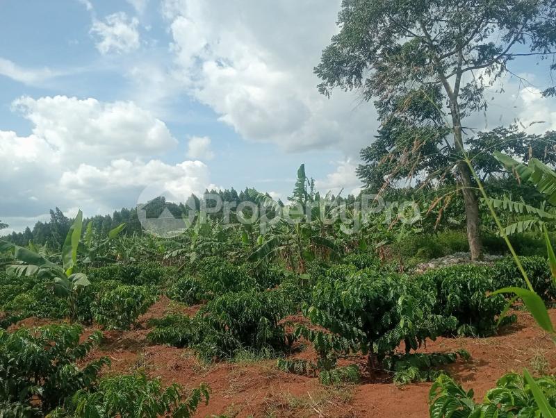 Land for sale Kalagala nakaseke Nakaseke Central - 1