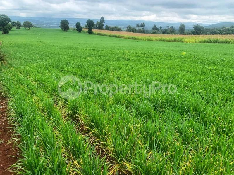 Land for sale Close to Nyahururu town Muthaiga Nairobi