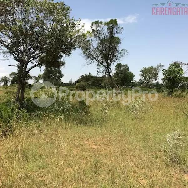 Land for sale Nanyuki Nanyuki - 0