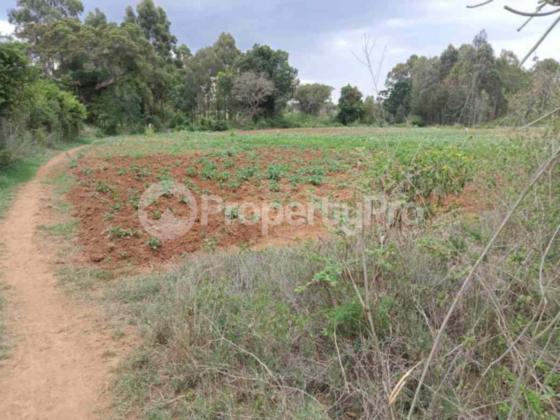 Land for sale Nanyuki Nanyuki