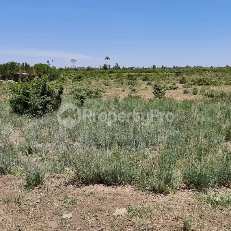 Land for sale Nanyuki Nanyuki