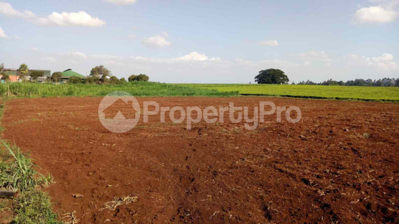 Land for sale Ngecha Tigoni Kiambu