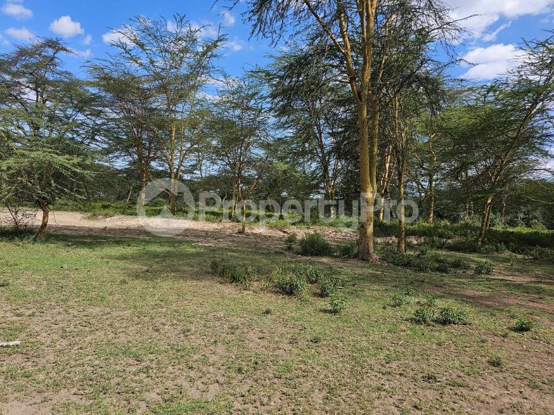 Land for sale Gilgil Nakuru