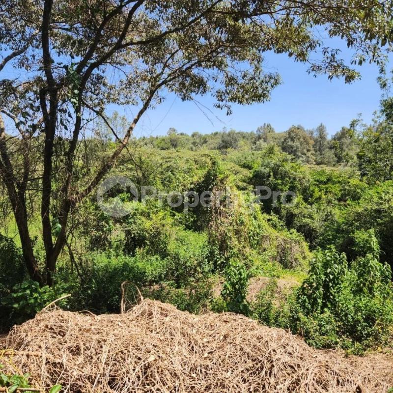 Land for sale Karen Nairobi