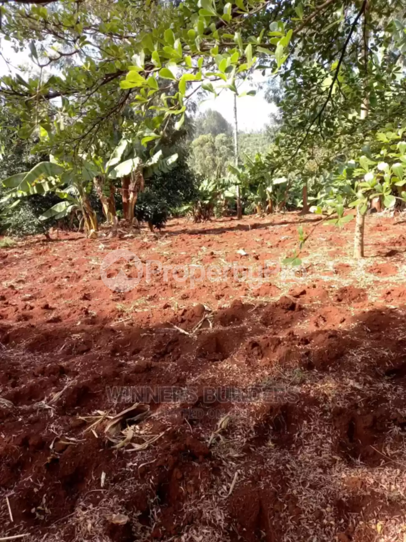 Land for sale Gatundo, Kiambu Kiambu
