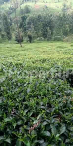 Land for sale Kirinyaga Central Kirinyaga